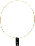 WHIZZ LOOP 20-6M QRP ANTENNA